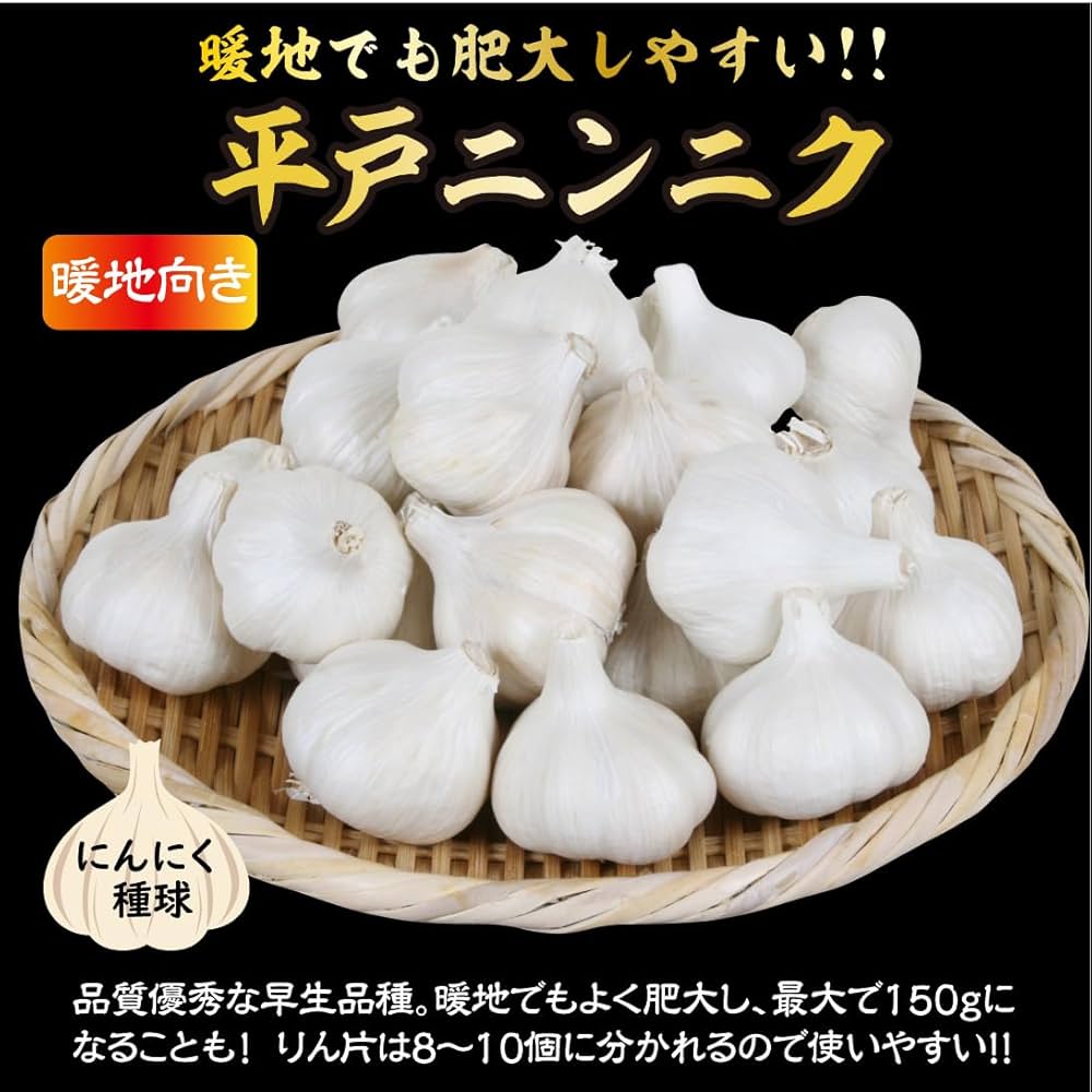 【国産】平戸ニンニクの種　500粒　農薬は使っていません Amazon.co.jp: ニンニク 種球 平戸 500g / 国華園 24年秋商品